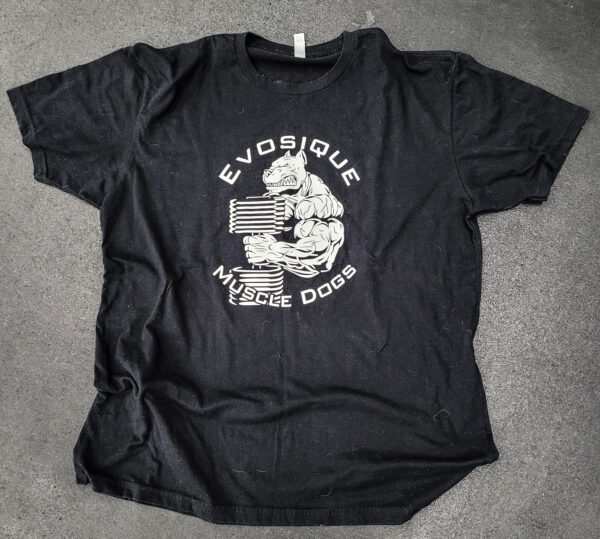 Evosique T-Shirt